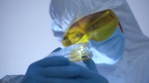 Microbiologist examines and opens Petri dish with bacteria. Stock Footage 106263632