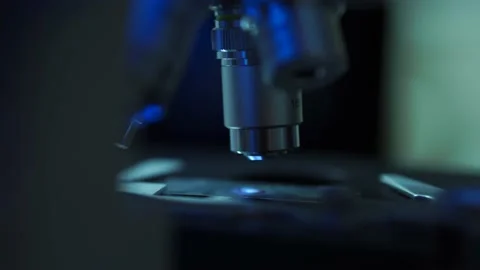 Microbiologist Looking At Coronavirus Blood Sample Through A Microscope Stock Footage 131119494