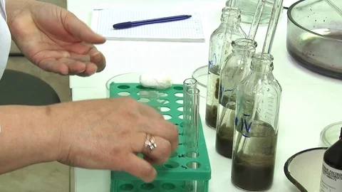 Microbiologist puts out plates with microorganisms in the laboratory. Stock Footage 127320950