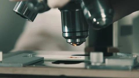 A microbiologist studies a sample of bacteria under an electron microscope, Stock Footage 336582709
