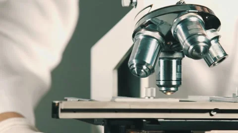A microbiologist studies a sample of bacteria under an electron microscope, Stock Footage 336582727