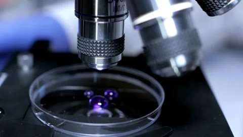 A microbiologist studies a sample of bacteria under an electron microscope, 스톡 동영상 336582769