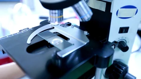 A microbiologist studies a sample of bacteria under an electron microscope, Stock Footage 336582784