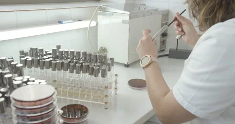 Microbiologist testing bacteria in water with equipment and glassware in lab Stock Footage 135787578