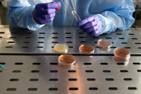 A microbiologist when working on biological samples Photos