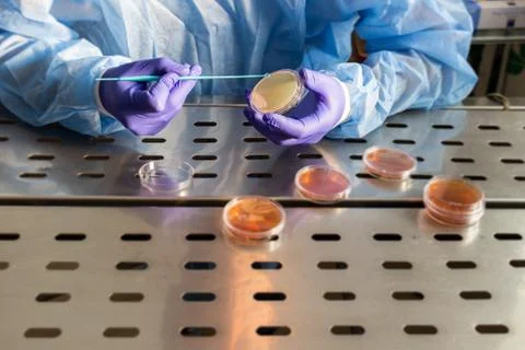 A microbiologist when working on biological samples Photos