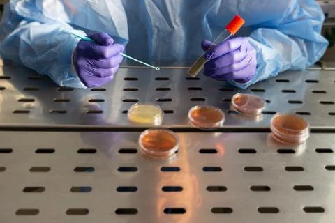 A microbiologist when working on biological samples Stock Photos