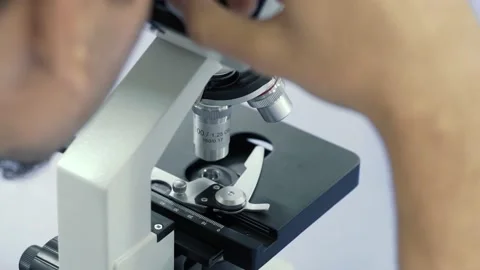 Microbiologist Working on Molecule Samples in Modern Laboratory Video stock 238535611