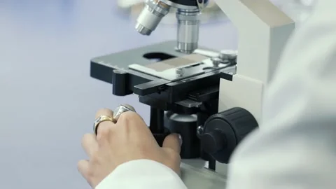 Microbiologist Working on Molecule Samples in Modern Laboratory Stock-Footage 238535719