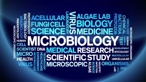 Microbiology animated word cloud,animati... | Stock Video | Pond5