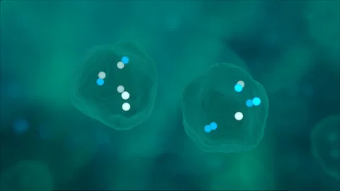 Microbiology Cell Reproduction Loop Stock Footage 332053281