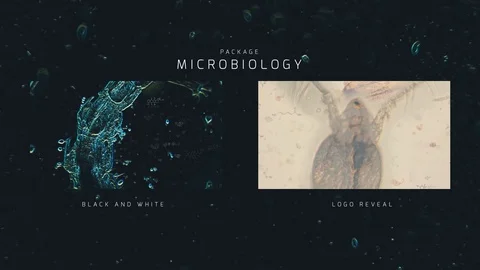 Microbiology Pack 库存 After Effects