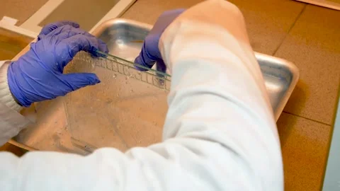Microbiology research scientist working in the labaratory Stock Footage 130873154
