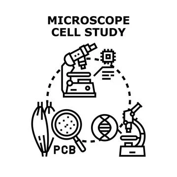 Microbiology studying cells, tissue, dna, and science research Stock Illustration