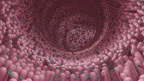 Microbiome animation Stock Footage 149106331