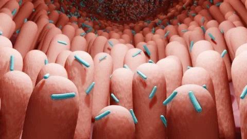 Microbiome bacteria animation Stock Footage 149810434