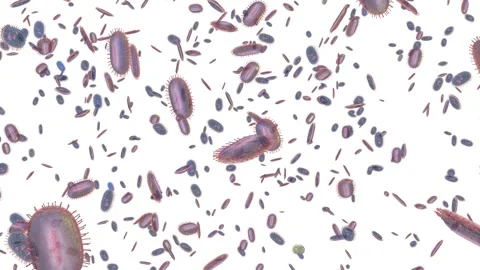 Microbiome bacteria probiotic on white bg Stock Footage 289509461