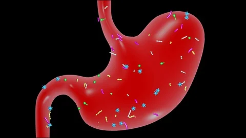 Microbiome bacteria, viruses, microbes in gut. 3d animation Видео 128751072
