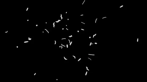 Microbiome bacteria, viruses, microbes multiplying. 3d animation render Stock Footage 230116981