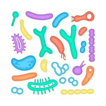 Microbiome illustration of bacteria. Vector image. Gastroenterologist. Bifido Stock Illustration