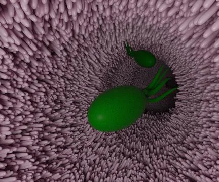 Microbiome inside of digestive tract Stock Illustration