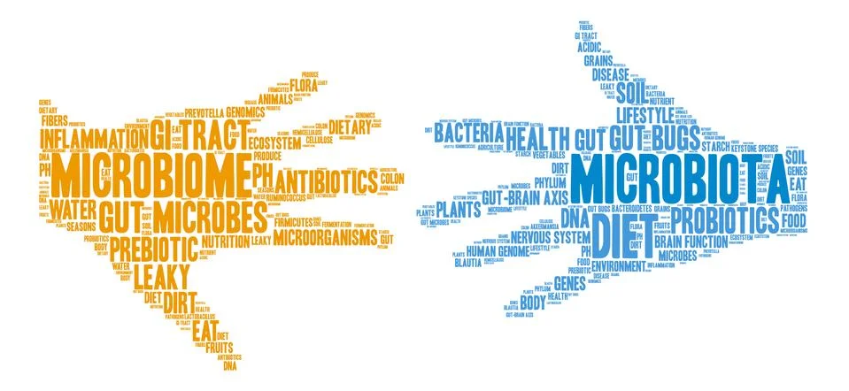 Microbiota Word Cloud Ilustração Stock