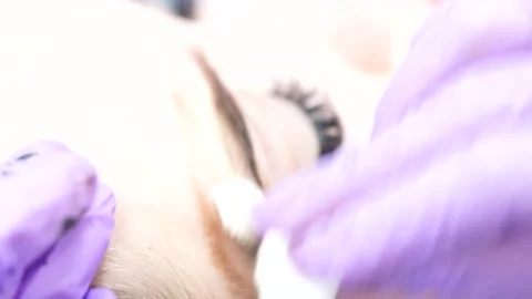 Microblading Eyebrow Tattoo, Permanent Makeup, Using Special Needle, Injects Stock Footage 135555343