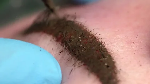 Microblading tattoo , permanent make-up 库存影片 266143921