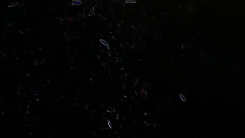 Microbotany. Diatom algae or bacillariophyceae under microscope . Shell composed Stock Footage 266263427