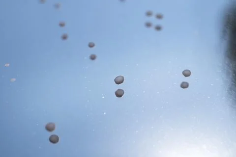 Microcapsules in cosmetics. Background Stock Photos