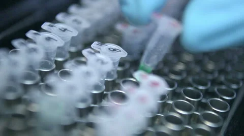 Microcentrifuge tubes in a bio lab experiment Stock Footage