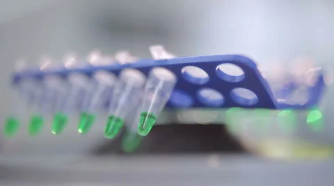 Microcentrifuge tubes in a bio lab experiment Stock Footage 1744664