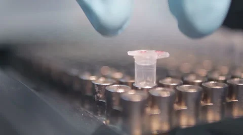 Microcentrifuge tubes in a bio lab experiment Stock-Footage 1744668