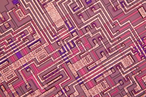 Microchip, light micrograph Foto stock
