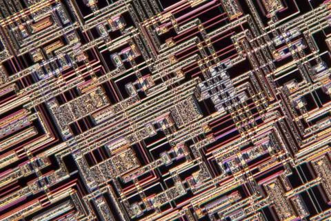 Microchip, light micrograph Foto stock
