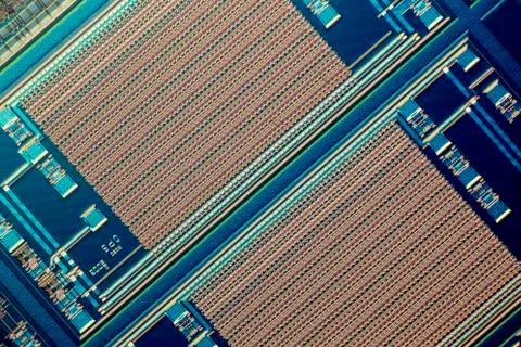 Microchip, light micrograph Foto stock