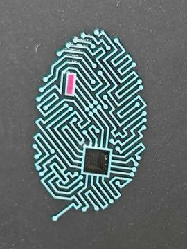 Microchip in shape of human fingerprint used for biometric identification Stock Photos