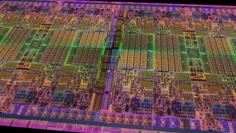 Microcip Stock Footage 127119660