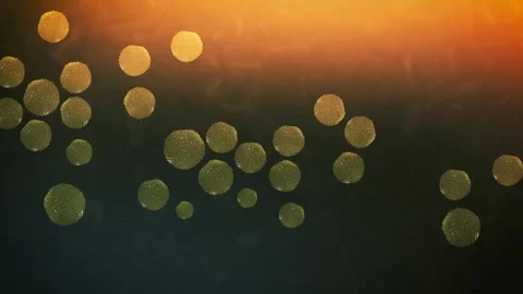 Micrococcus luteus Pathogen Medical Simulation in Microscopic Setting Video stock 335760863