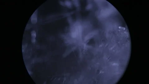 Microcosm. Frost under the microscope. The smallest ice crystals on a black back Stock Footage 167913107