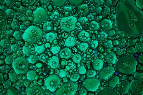 MicroCosmic session Stock Photos