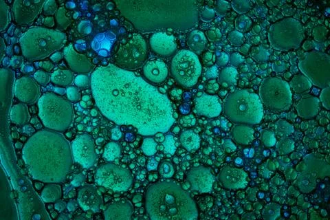 MicroCosmic session Stock Photos