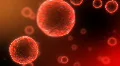 Microcosmos HD Footage