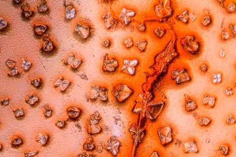 Microcrystals in dried dyestuff Stock Photos