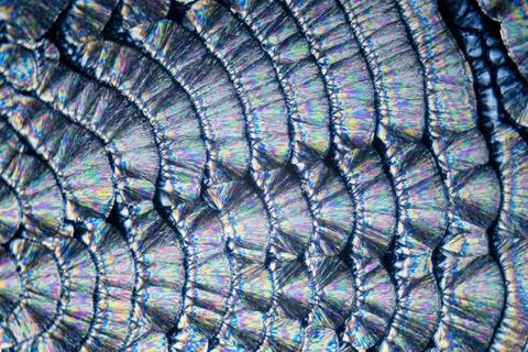 Microcrystals microphoto: microcrystals of ascorbic acid in polarized ligh... Photos