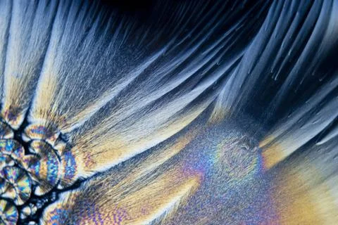 Microcrystals microphoto: microcrystals of ascorbic acid in polarized ligh... Stock Photos