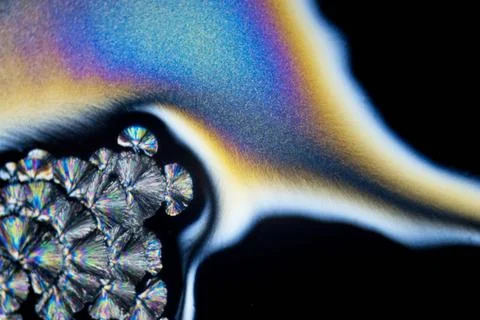 Microcrystals microphoto: microcrystals of ascorbic acid in polarized ligh... Stock Photos
