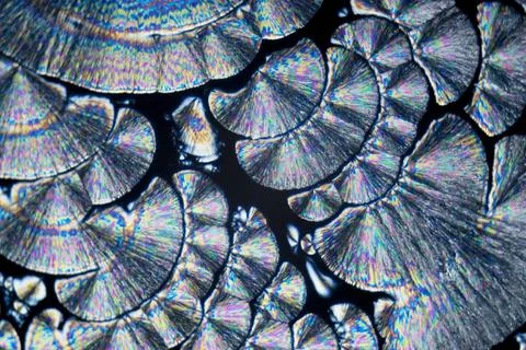 Microcrystals microphoto: microcrystals of ascorbic acid in polarized ligh... Stock Photos