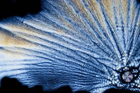 Microcrystals microphoto: microcrystals of ascorbic acid in polarized ligh... Photos