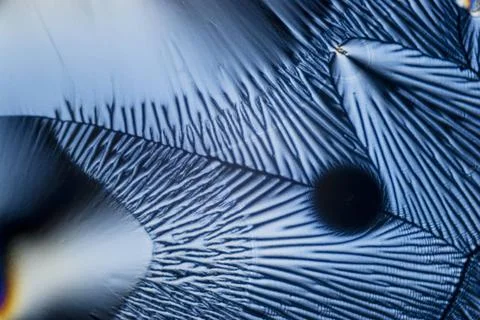 Microcrystals microphoto: microcrystals of ascorbic acid in polarized ligh... Photos